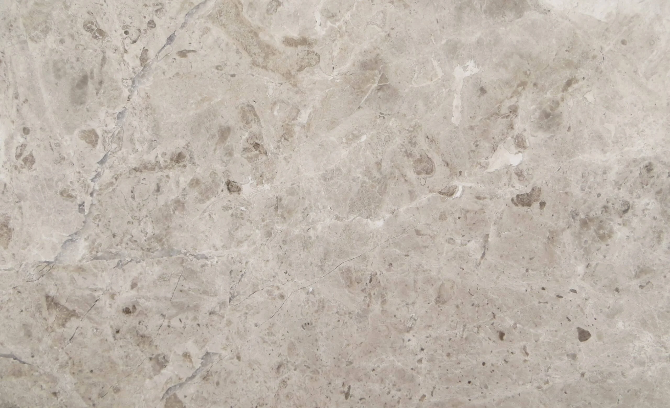 Tundra Grey Marble