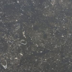 Belgian Blue Marble